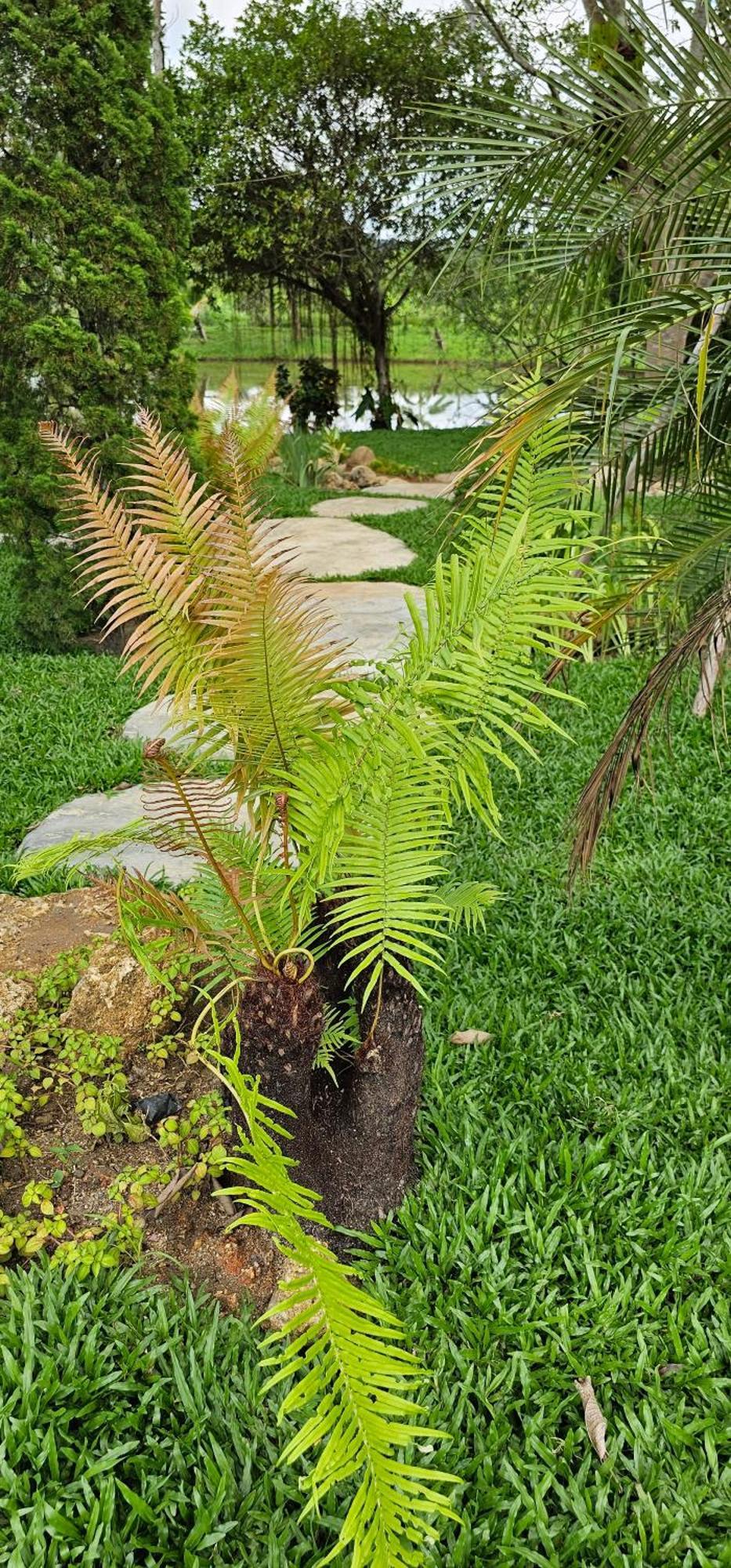 Homdoiintr Farmstay ฮ่อมดอยอินทร์ ฟาร์มสเตย์ Ban Huai Kaeo Esterno foto