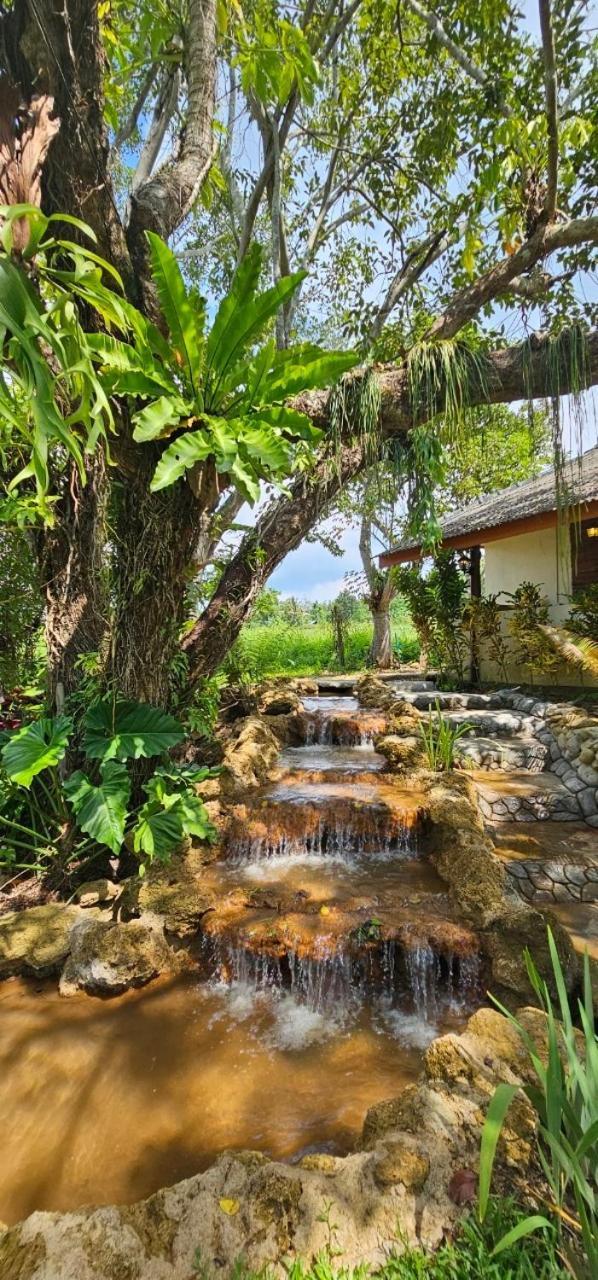 Homdoiintr Farmstay ฮ่อมดอยอินทร์ ฟาร์มสเตย์ Ban Huai Kaeo Esterno foto