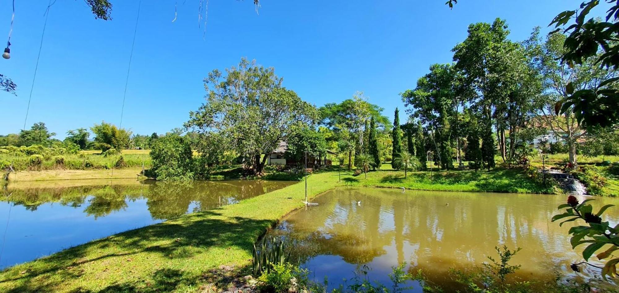 Homdoiintr Farmstay ฮ่อมดอยอินทร์ ฟาร์มสเตย์ Ban Huai Kaeo Esterno foto